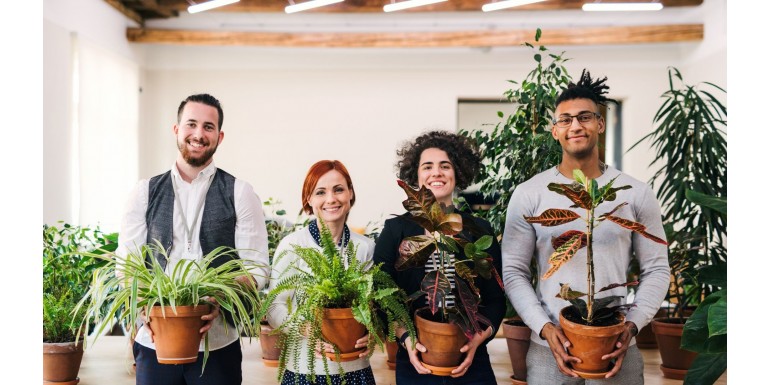 Sprawdzone rośliny do Twojego biura, czyli jak poprawić jakość powietrza i samopoczucie